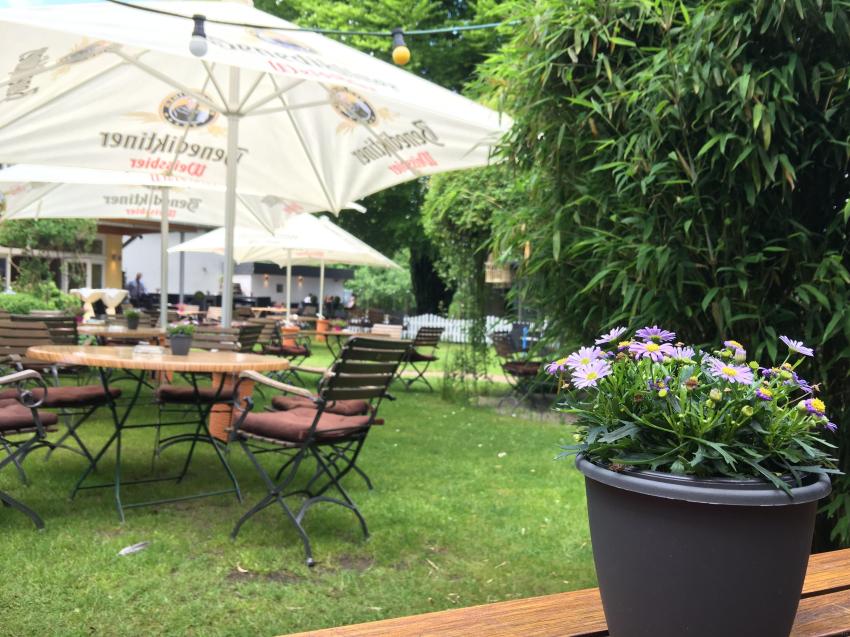 Zur Heideblüte