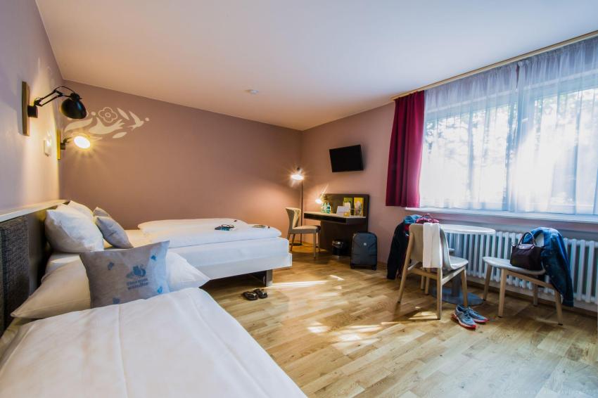 JUFA Hotel Königswinter***