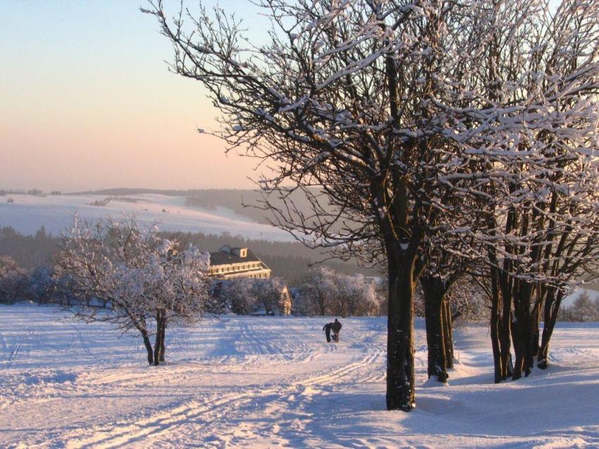 Winter am Rensnteig