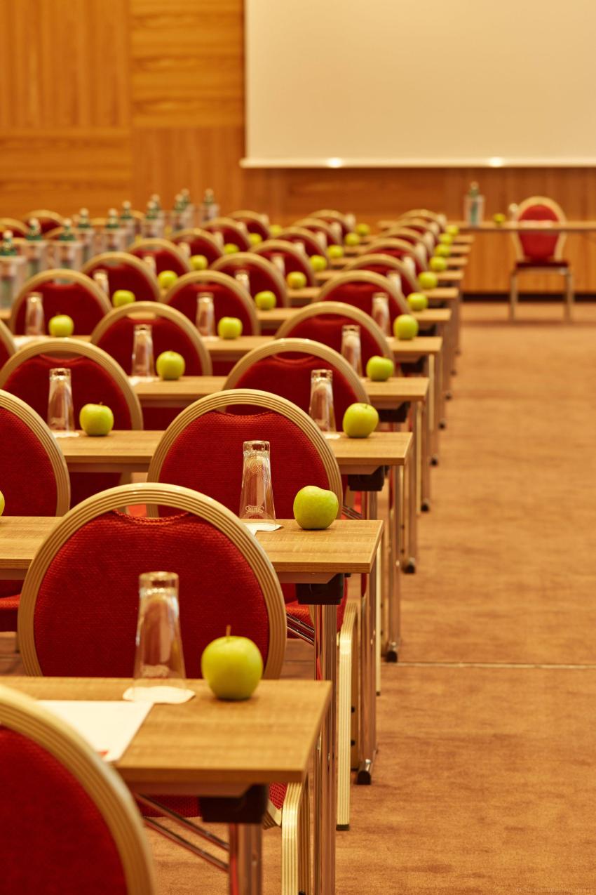 Konferenzraum - parlamentarisch