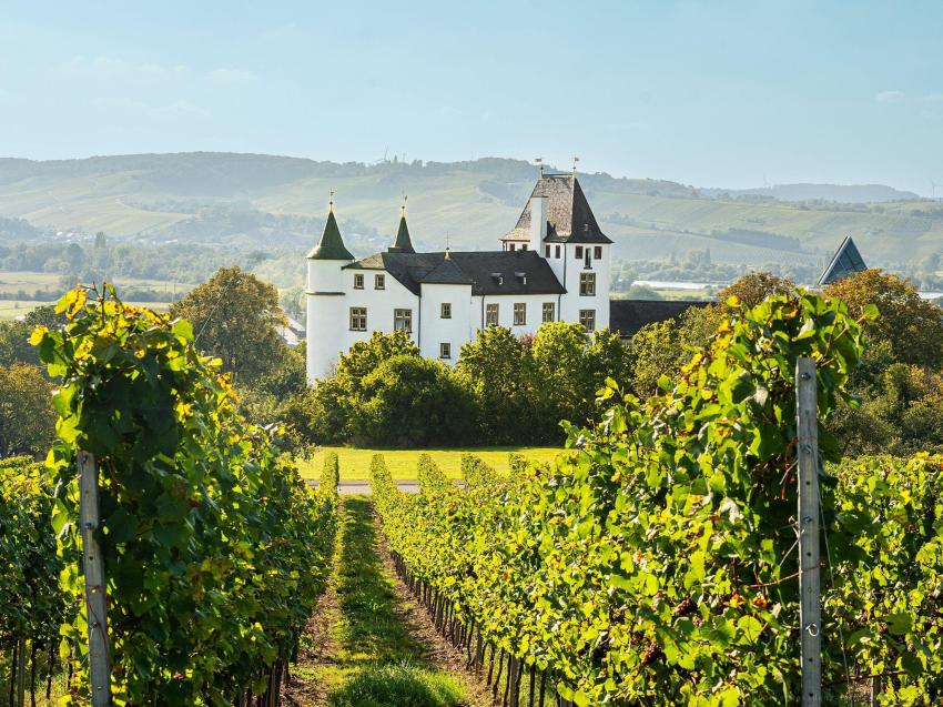 Victor's Residenz-Hotel Schloss Berg